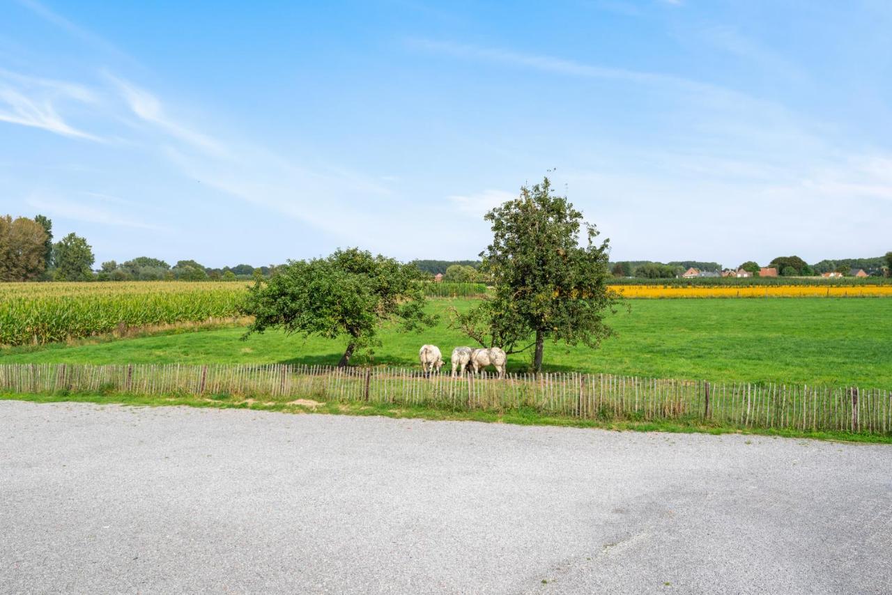 Burgemeestershof Wetteren Buitenkant foto