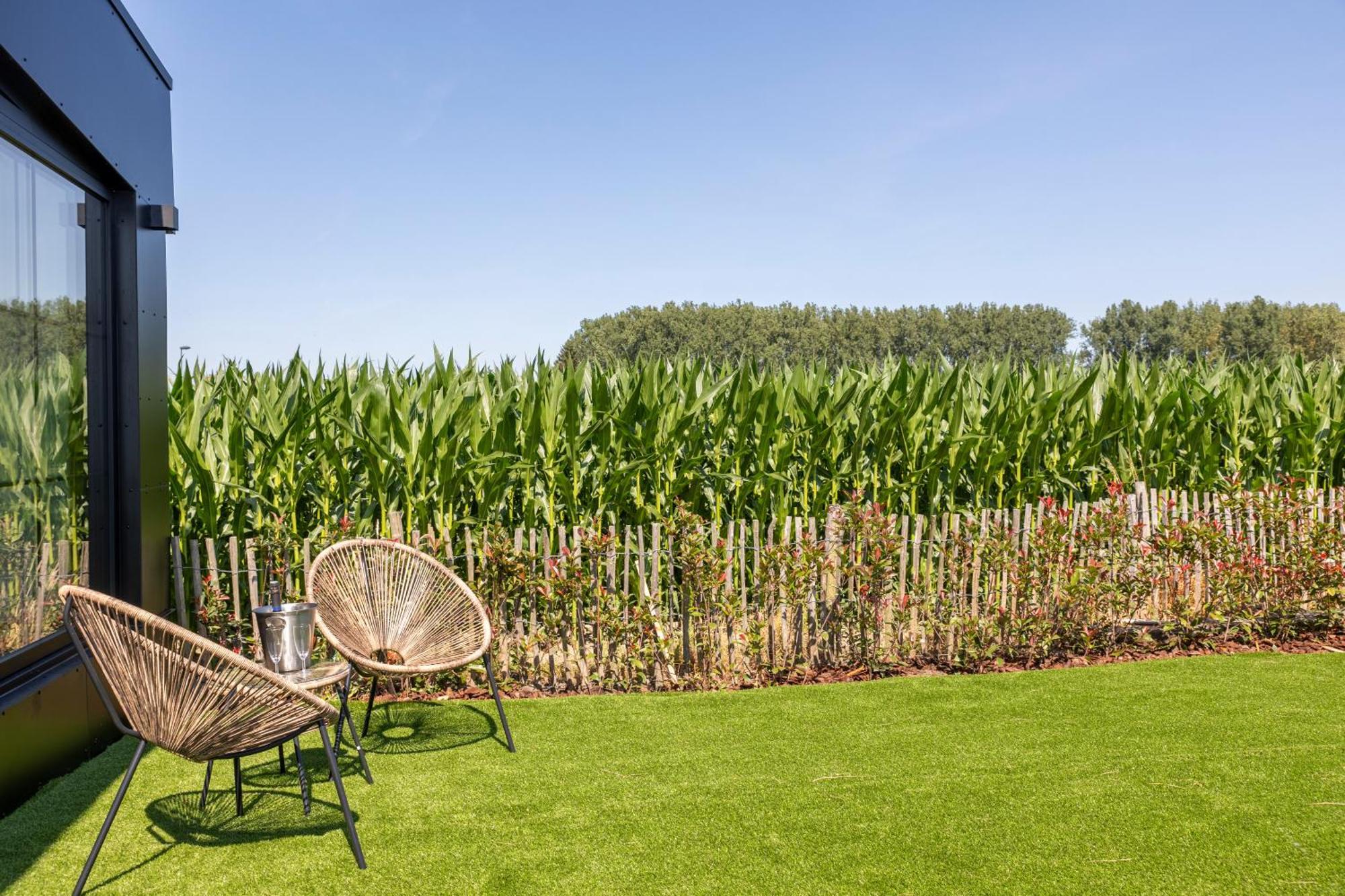 Burgemeestershof Wetteren Buitenkant foto
